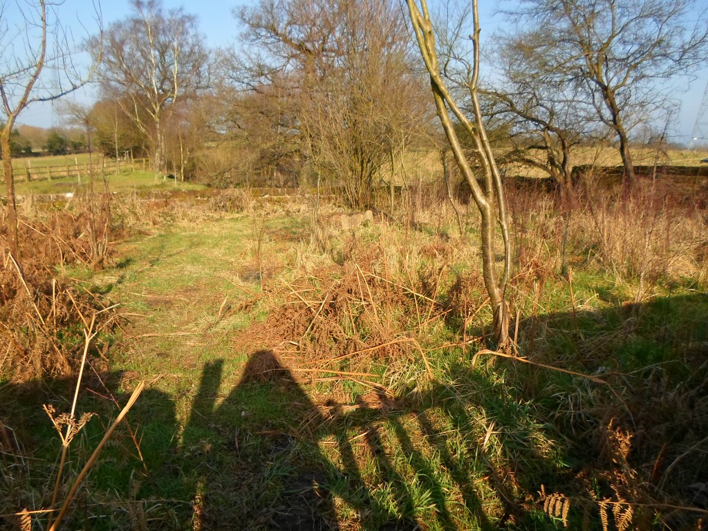 Quaker Graveyard